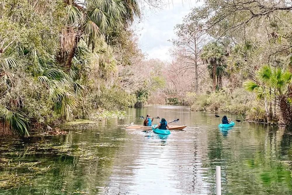 Three people are kayaking along a serene tree-lined river