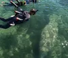 A scuba diver is making a thumbs-up gesture in clear water next to a large friendly-looking manatee