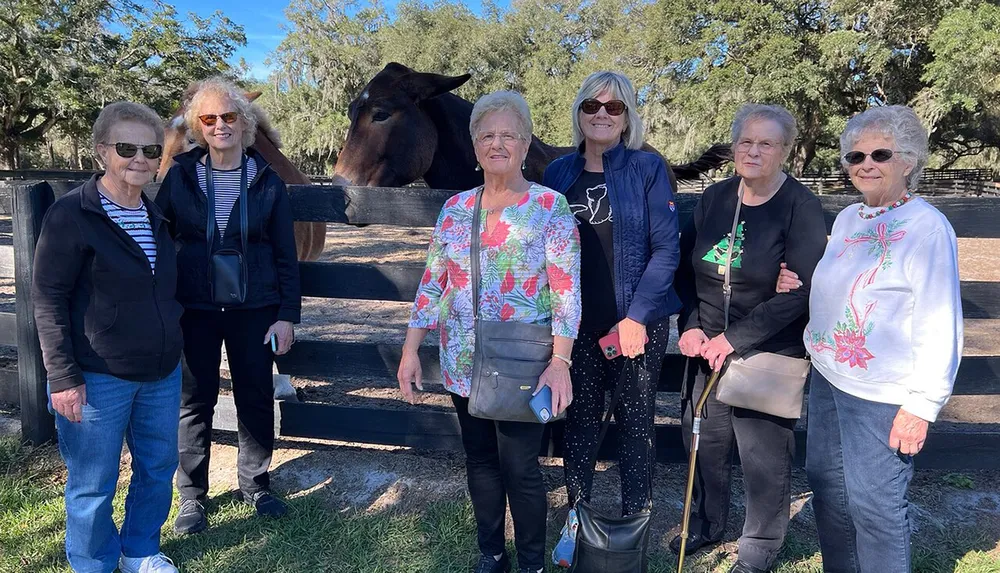 A group of smiling women poses for a photo in front of a fenced area with a horse peeking its head over the fence behind them