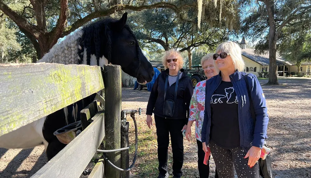 A black and white horse peers over a wooden fence at three smiling women in a sunny tree-filled setting