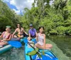 Four people are happily sitting on stand-up paddleboards in a calm river surrounded by lush greenery