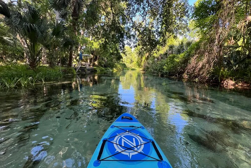 A blue kayak is gliding through clear calm waters surrounded by lush greenery