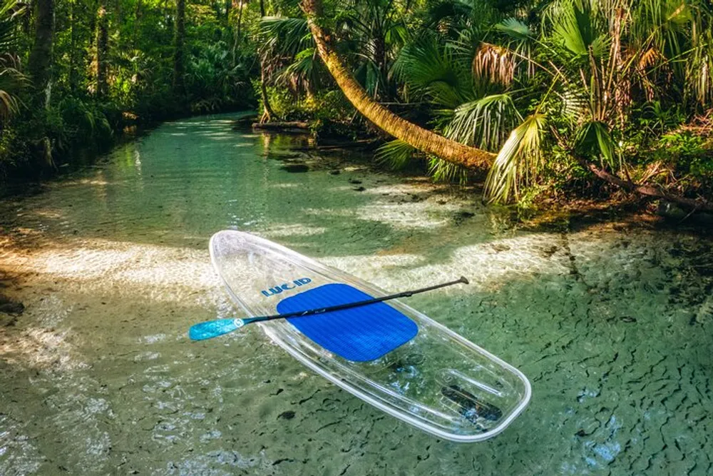 A clear stand-up paddleboard floats on the tranquil crystal-clear waters of a lush palm-fringed stream