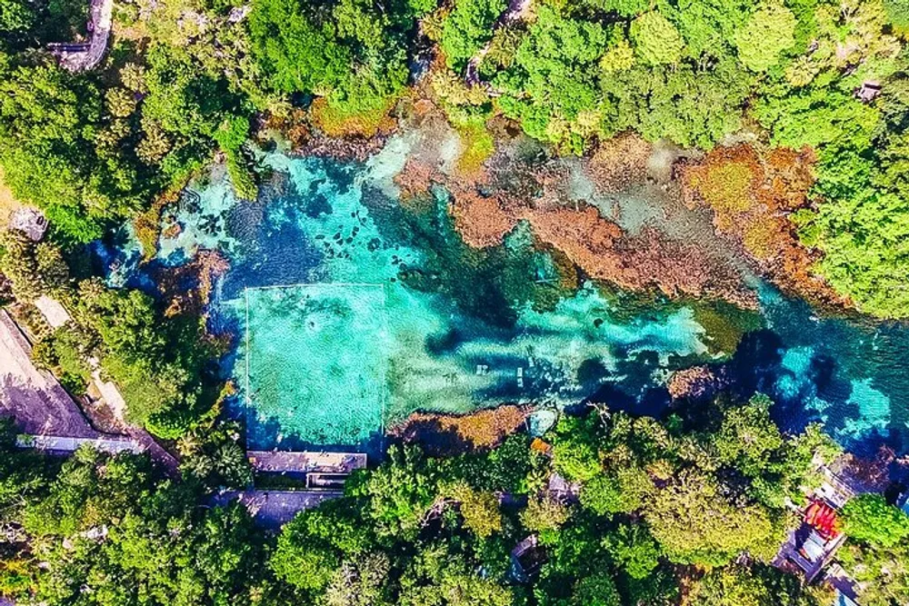 An aerial view of a vibrant crystal-clear natural pool surrounded by lush greenery