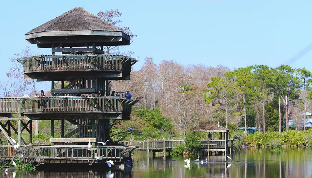 The image depicts a multi-tiered wooden observation tower overlooking a calm body of water with birds in flight and people enjoying the view from various levels