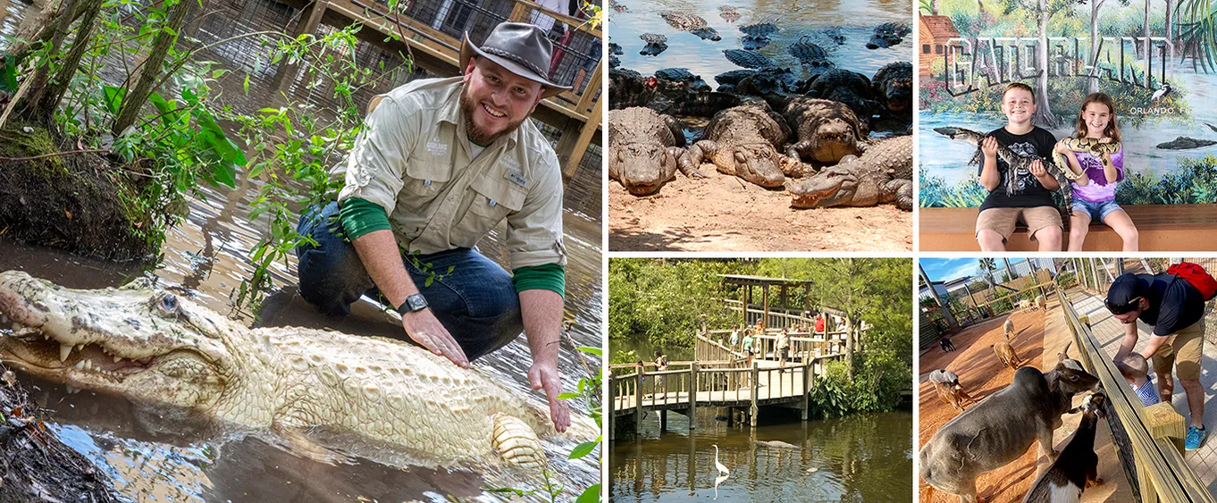 Gatorland Orlando