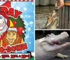 This is a colorful and vibrant promotional image for Gatorlands holiday event called HO HO HO-DOWN featuring cartoon depictions of an alligator a grinch-like character and an orangutan dressed in holiday attire with event dates and admission information included