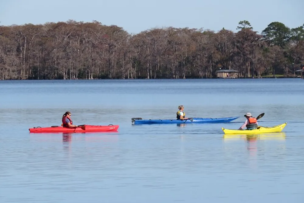 Three individuals are enjoying a calm kayak outing on a tranquil body of water with a backdrop of leafless trees