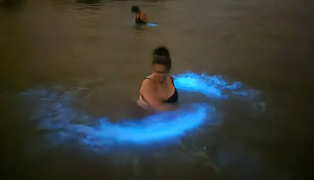 A person is swimming in water illuminated by bioluminescent organisms creating an enchanting blue glow around them