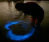 People are kayaking at dusk with illuminated kayaks that cast a blue glow on the water