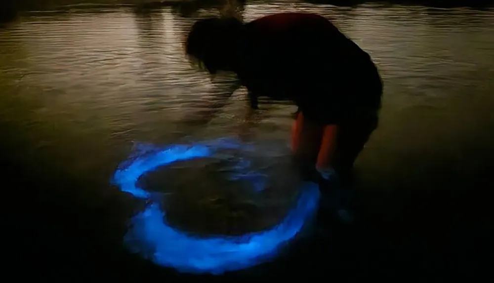 A person is interacting with a glowing blue circle in the water at night creating a mysterious and captivating scene