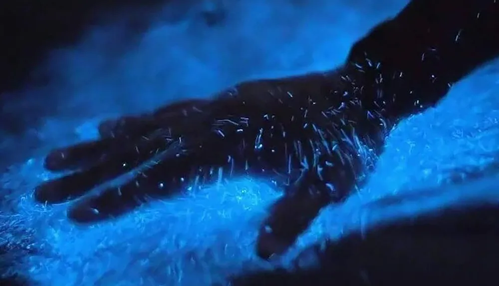 The image shows a human hand interacting with a bioluminescent blue substance creating an ethereal glow effect