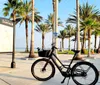 A bicycle is parked on a sunny promenade lined with palm trees
