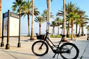 A bicycle is parked on a sunny promenade lined with palm trees.
