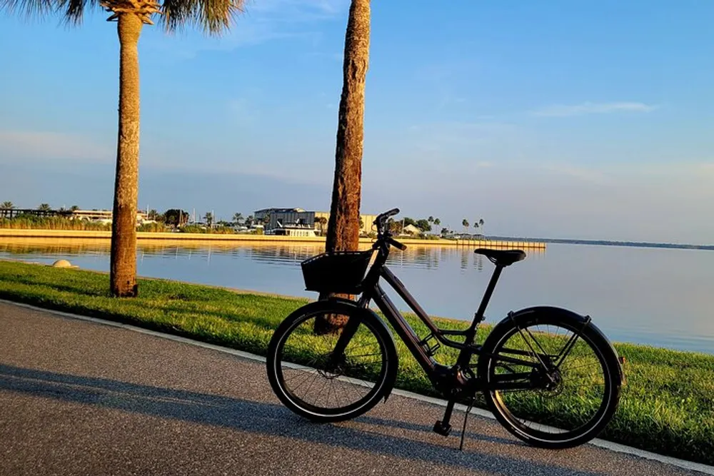 A bicycle is parked by a tranquil lakeside path with palm trees under a clear sky in the early morning or late afternoon