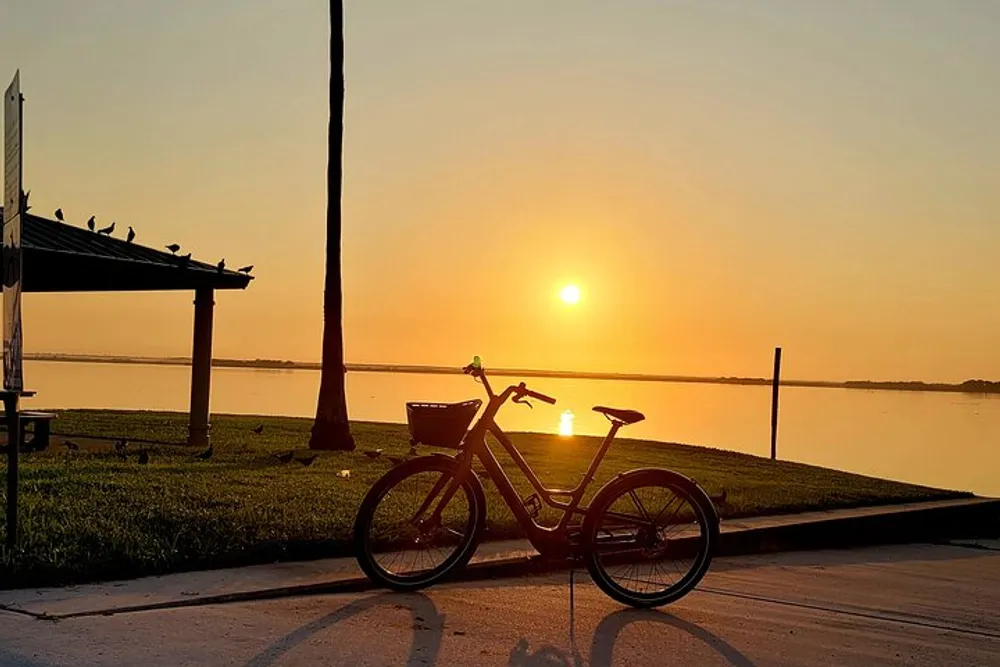 A bicycle is parked by the waterside silhouetted against a beautiful golden sunset with birds perched on a shelters roof in the background