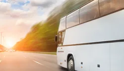 Popular Sightseeing Tours & Cruises