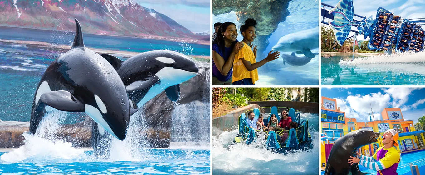 SeaWorld - Orlando, FL