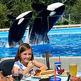 SeaWorld Single Day Ticket