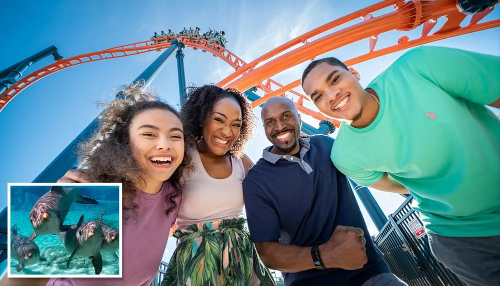 A group of four people smiling together in front of a roller coaster with a small inset image of dolphins swimming underwater