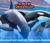 Two orcas are leaping out of the water at SeaWorld Spooktacular promoting a Halloween event with trick-or-treating and silly characters