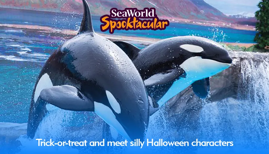 Two orcas are leaping out of the water at SeaWorld Spooktacular, promoting a Halloween event with trick-or-treating and silly characters.