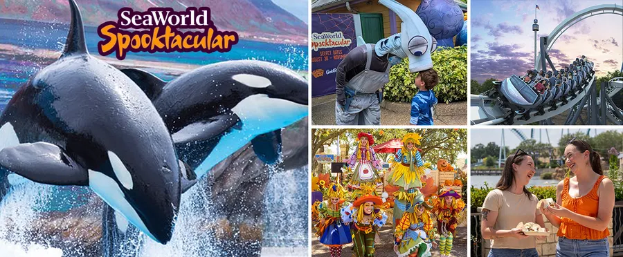 The image is a collage promoting SeaWorld's Spooktacular event, featuring orcas, costumed characters, a roller coaster, people enjoying food, and vibrant decorations.