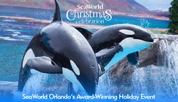 Popular Theme Parks