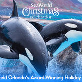 SeaWorld & Busch Gardens 2 Park 2 Day Combo Ticket
