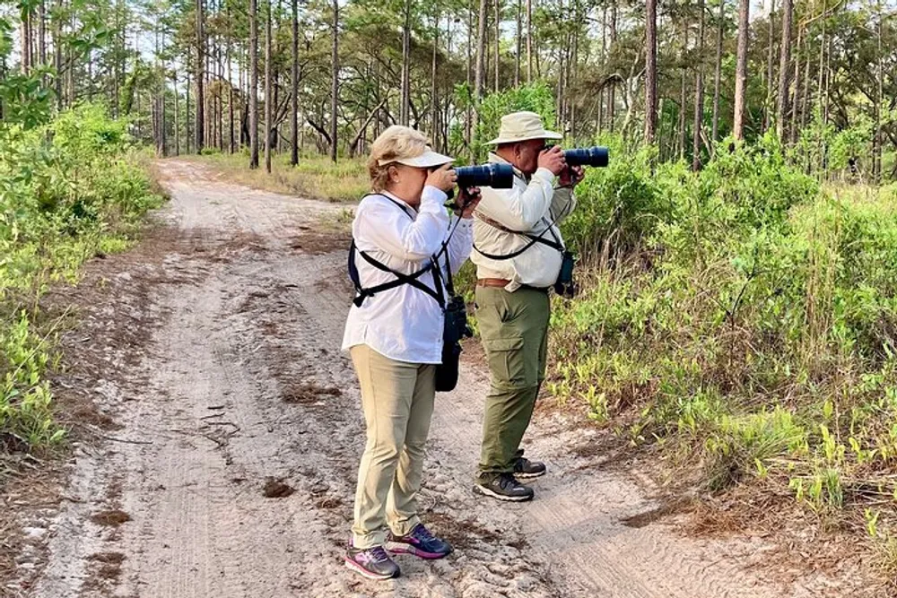 Two people are standing on a dirt path in a forested area looking through binoculars possibly observing wildlife or nature