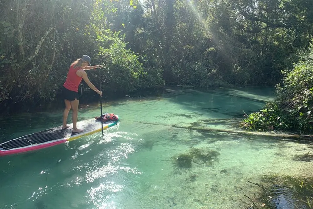 A person is stand-up paddleboarding on a tranquil sun-dappled river surrounded by lush greenery
