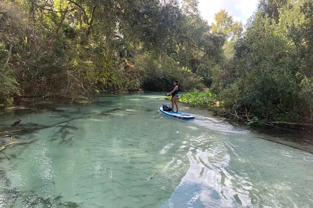 A person is paddleboarding on a tranquil clear river surrounded by lush greenery