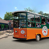 San Antonio Old Town Trolley 1 Day Tour