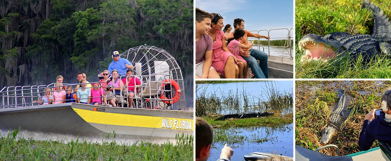 Everglade Airboat Tours 