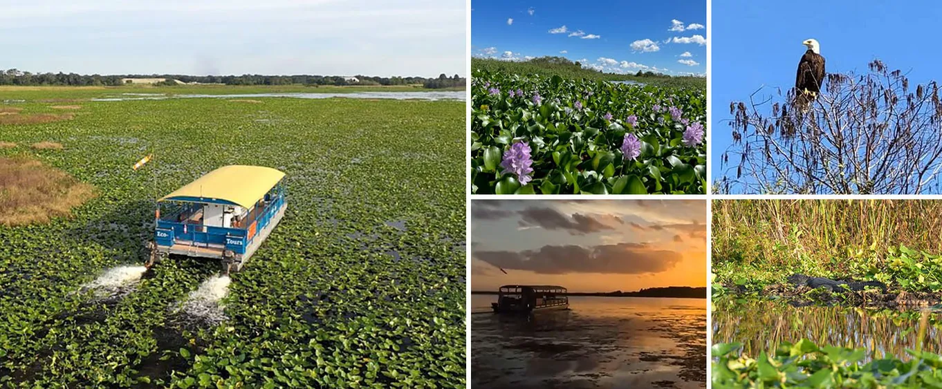 90 Minute Pontoon Cruise in Florida