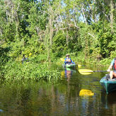Small Group Scenic Wekiva River Kayak Tour Near Orlando