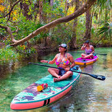 Rainbow Springs Paddle Board Adventure