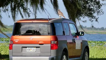 A hawk is perched on top of a parked two-tone Honda Element by a scenic lake with trees in the background.