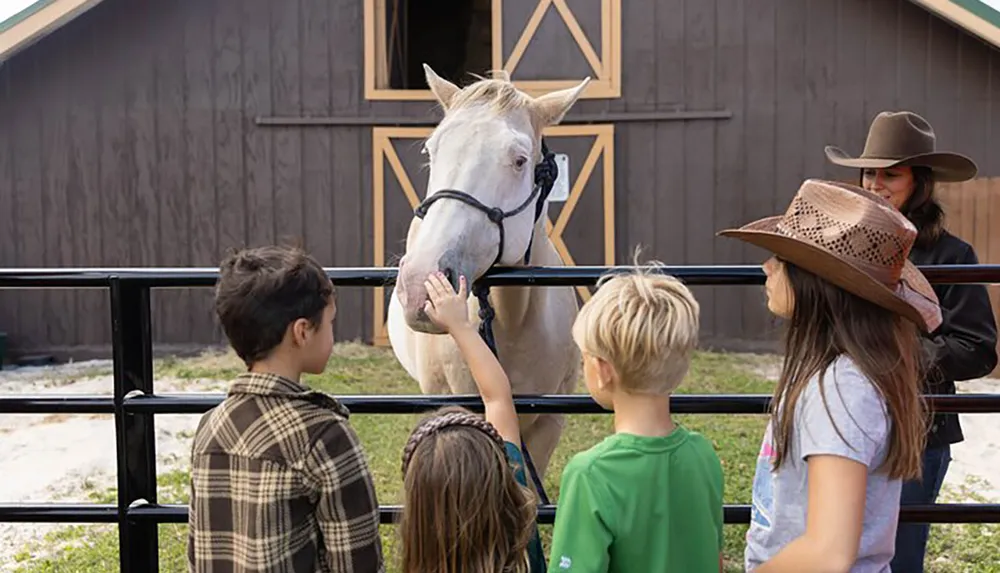 A group of children and an adult wearing hats are interacting with a pale-colored horse at a fence