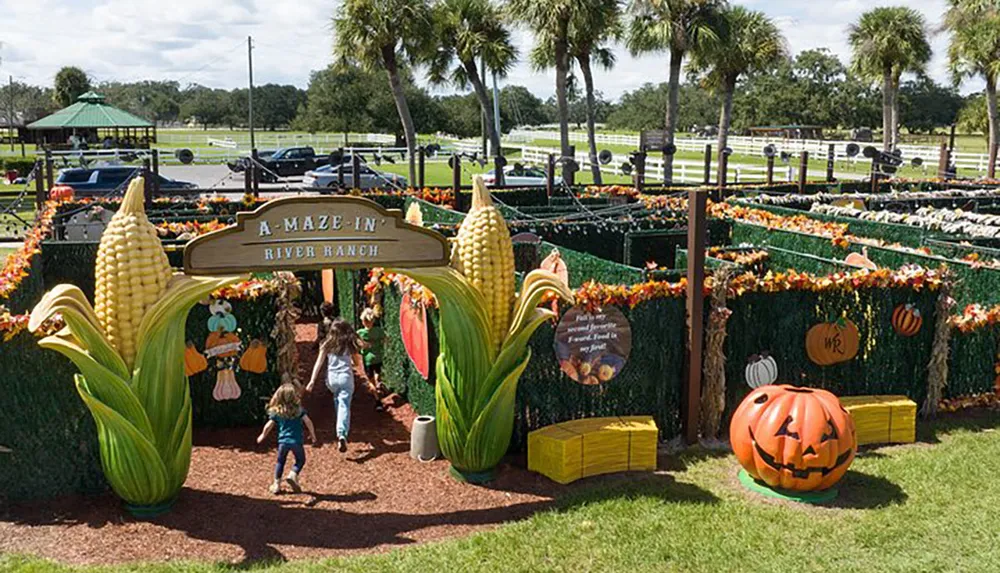 The image depicts a family entering a corn-themed maze at a festive outdoor event adorned with autumnal decorations including pumpkins and fall foliage