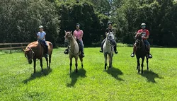 Popular Horseback Riding