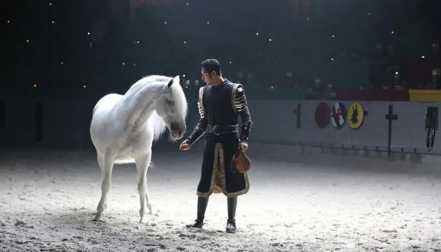 A person in a medieval-style outfit stands facing a white horse inside an arena that resembles a setting for a historical or themed performance.