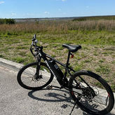 Experience Wild Florida Nature Up Close on Electric Bike (2 HRS.)