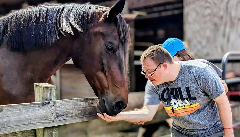 A person is gently offering an outstretched hand to a horse creating a tranquil moment of human-animal interaction
