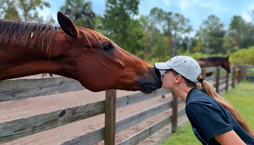 A person is affectionately kissing a horse on the nose over a wooden fence