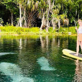Clear Kayak