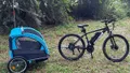 2 Hours E-Bike with 2-Child Trailer Kissimmee Lakefront Tour Photo