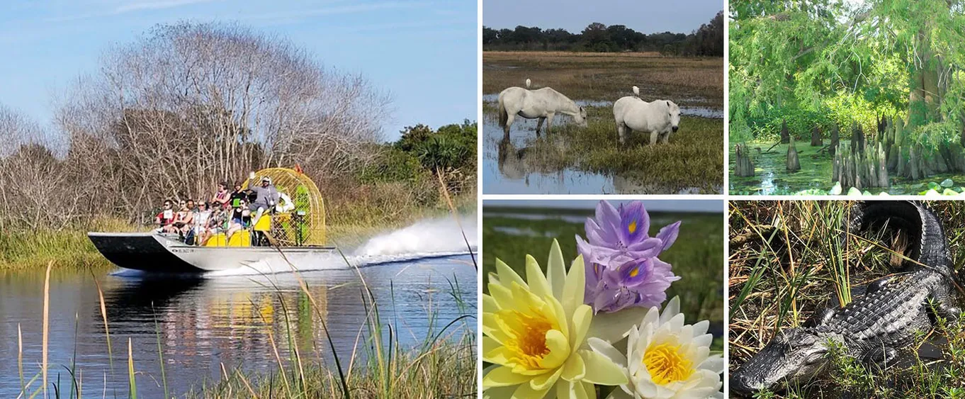 90 Minute Everglades Airboat Tour Near Orlando Florida