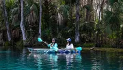 Clear Kayaking Wildlife Tour at Silver Springs Photo