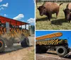 A large modified vehicle with massive tires and a tiger-striped body travels on a dusty road under a blue sky